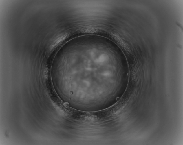 X0000093240683200710031602