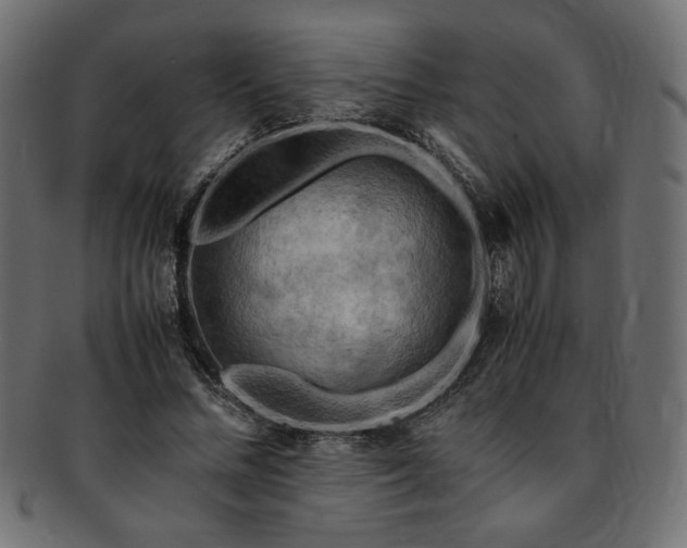 X0000093240684200710031602
