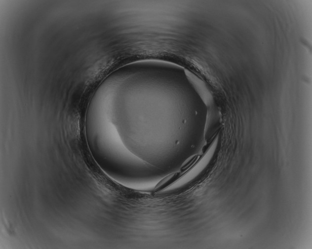 X0000093240685200710031602