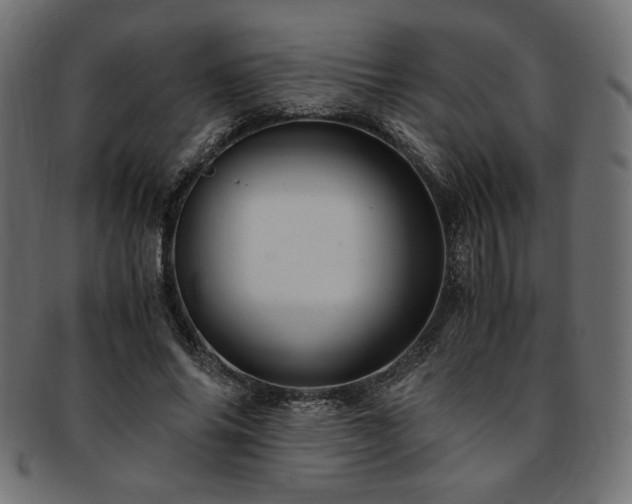 X0000093240686200710031602