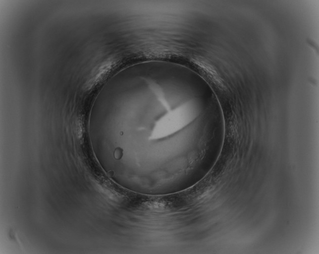 X0000093240687200710031602