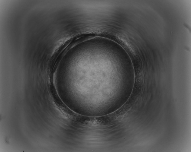 X0000093240688200710031602
