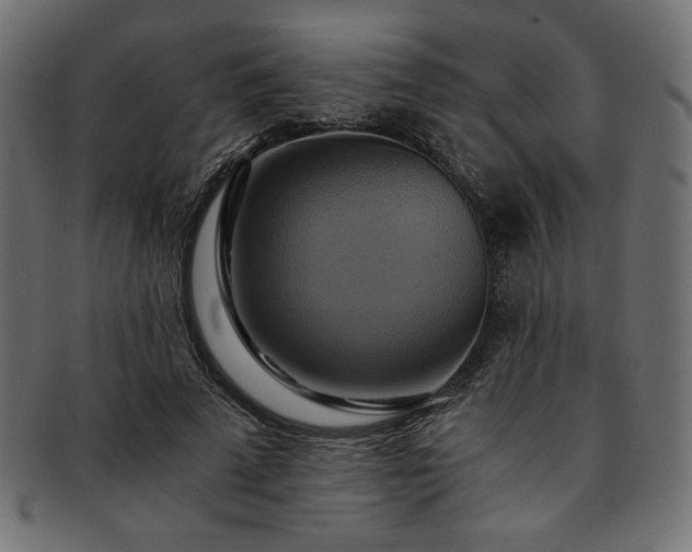 X0000093240689200710031602