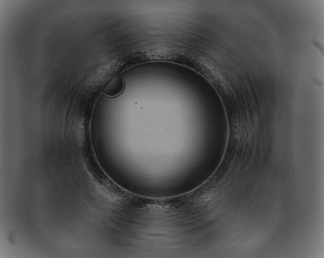 X0000093240690200710031602