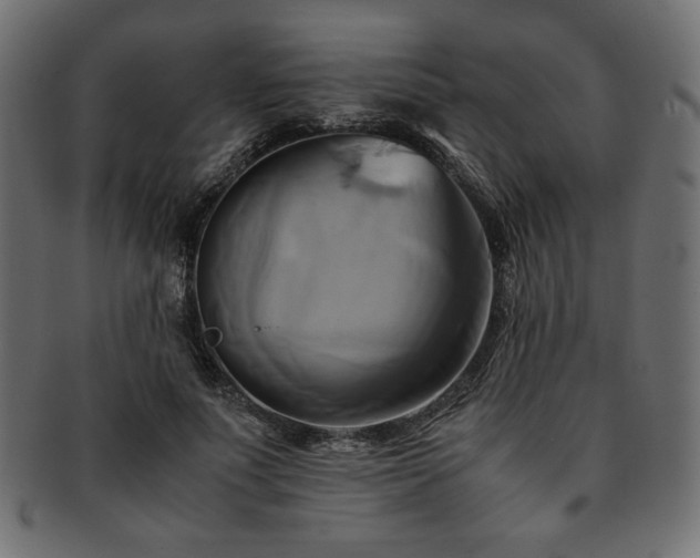 X0000093240691200710031602
