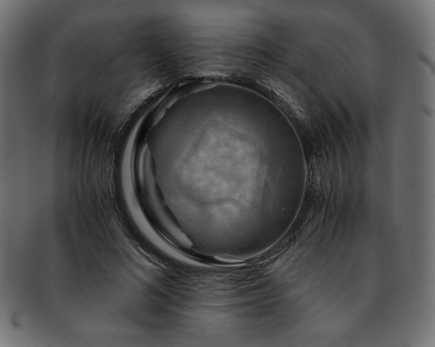 X0000093240692200710031602