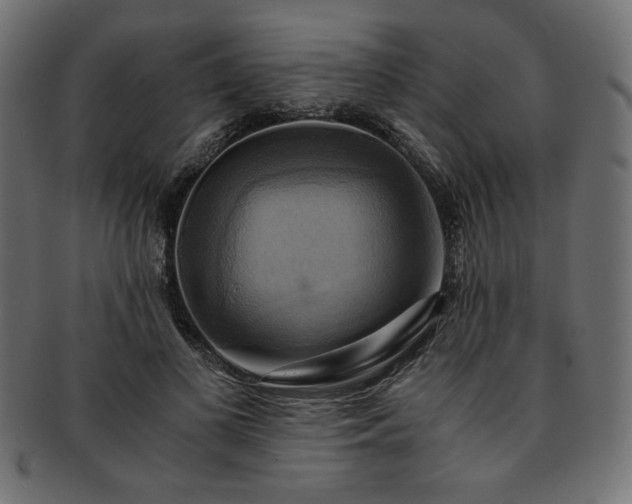 X0000093240693200710031602