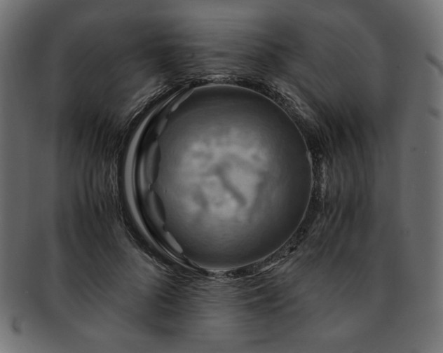 X0000093240696200710031602
