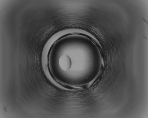 X0000093240697200710031602