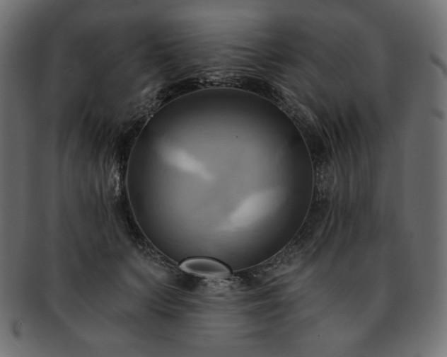 X0000093240703200710031602