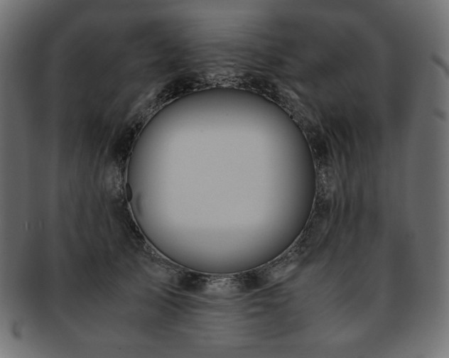X0000093240705200710031602