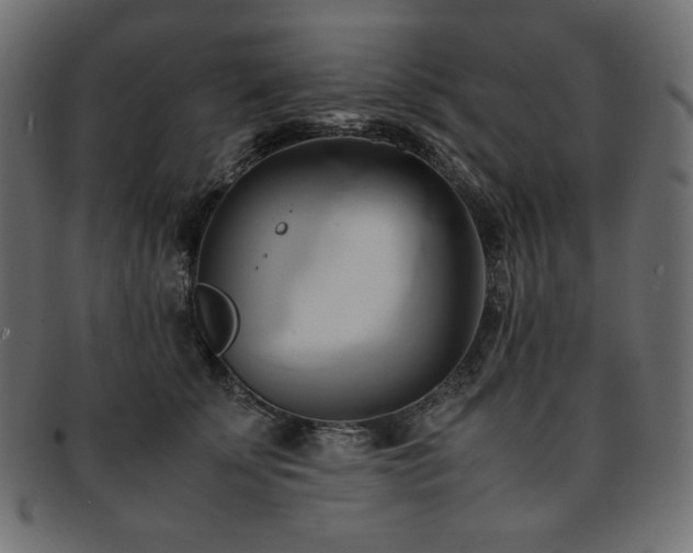 X0000093240707200710031602
