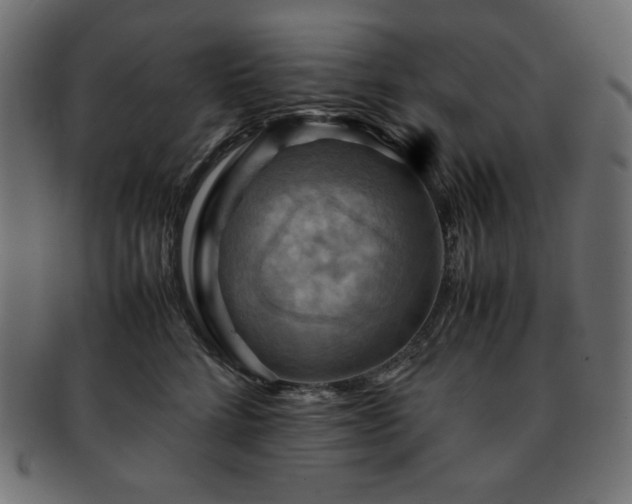 X0000093240712200710031602