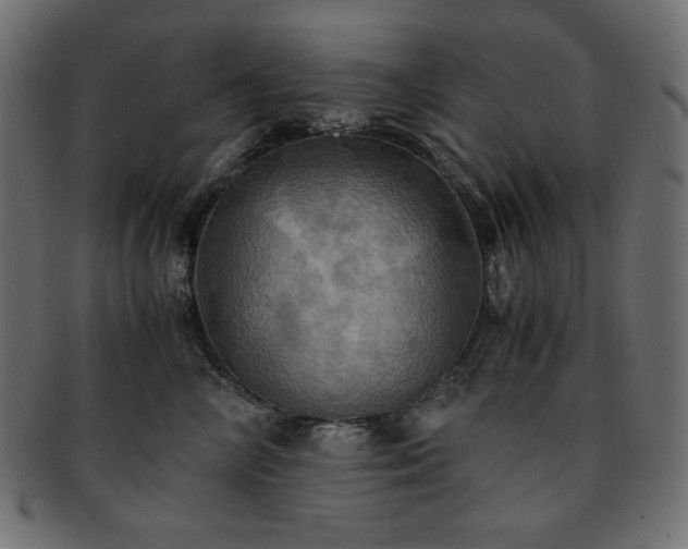 X0000093240714200710031602