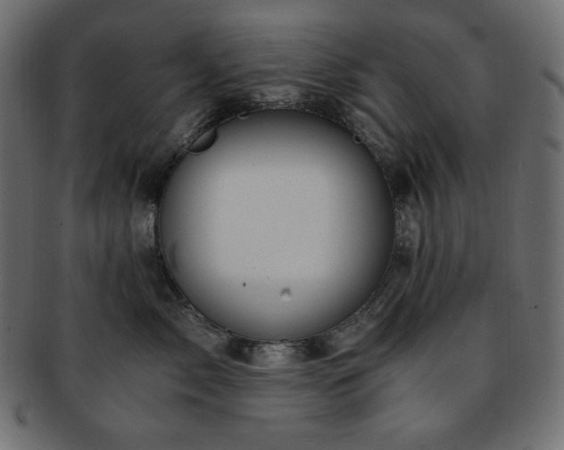 X0000093240717200710031602