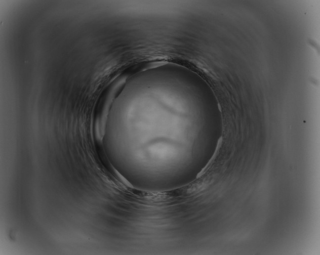 X0000093240720200710031602