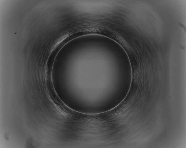 X0000093240722200710031601