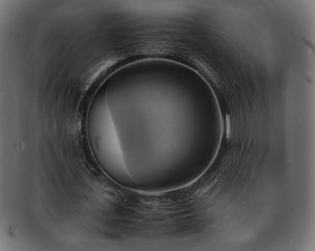 X0000093240723200710031601