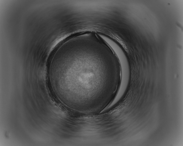 X0000093240724200710031601