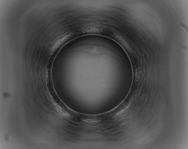 X0000093240725200710031601