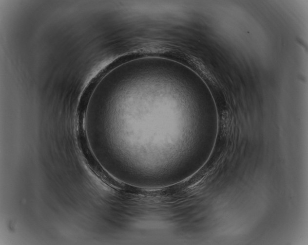X0000093240726200710031601