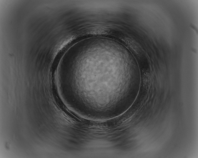 X0000093240727200710031601