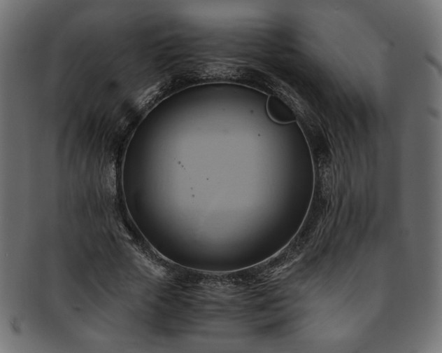 X0000093240729200710031601