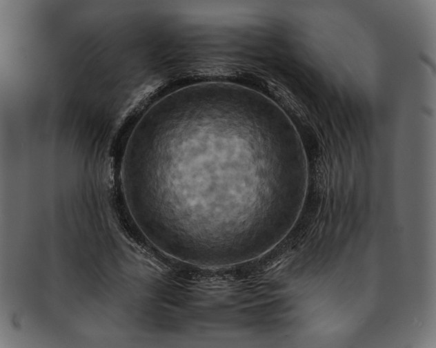 X0000093240731200710031601