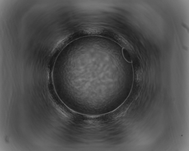X0000093240733200710031601