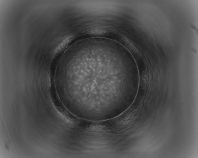 X0000093240734200710031601