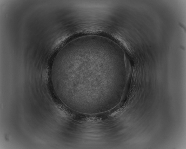 X0000093240736200710031601