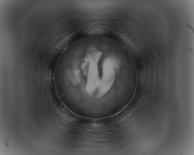 X0000093240737200710031601