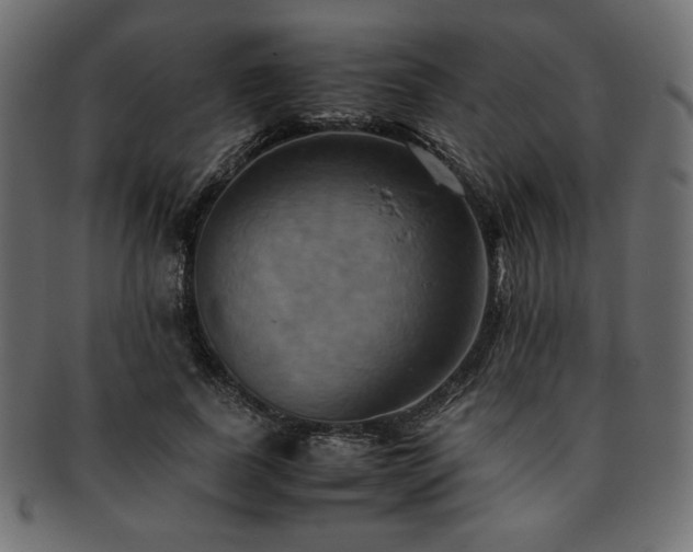 X0000093240739200710031601