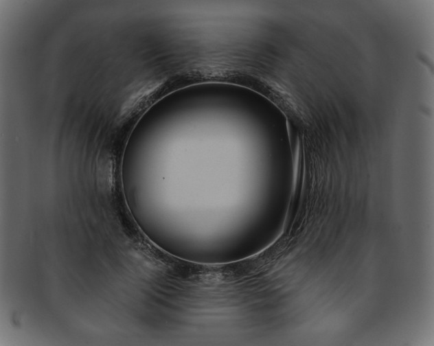 X0000093240740200710031601