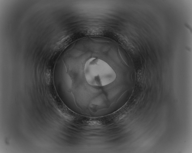 X0000093240741200710031601