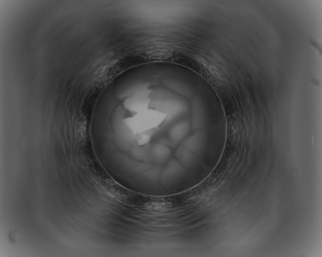 X0000093240745200710031602