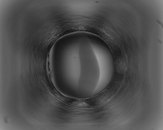 X0000093240747200710031602