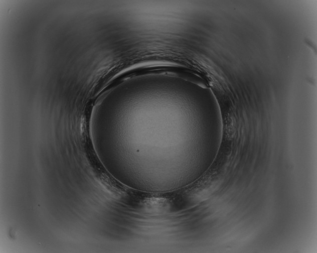 X0000093240748200710031602
