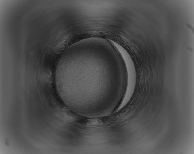 X0000093240750200710031602