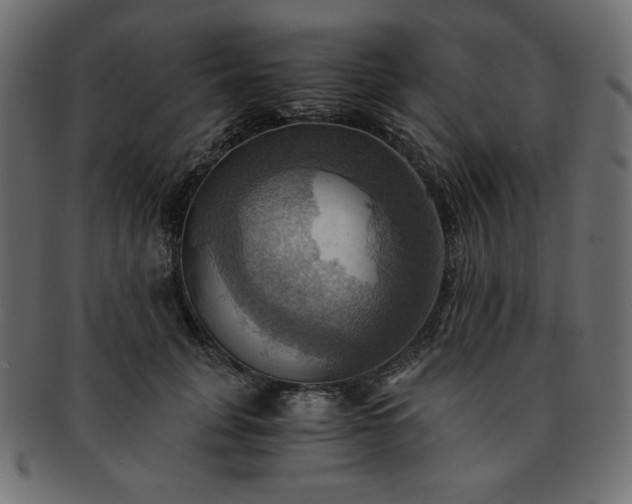 X0000093240751200710031602