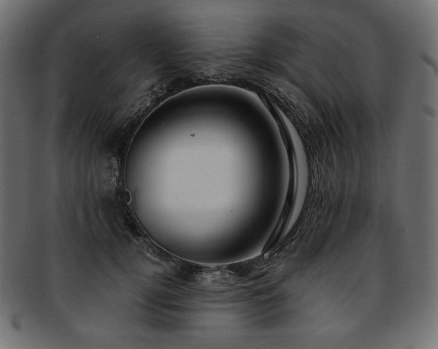 X0000093240752200710031602