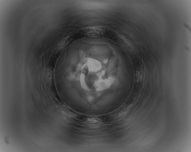X0000093240753200710031602