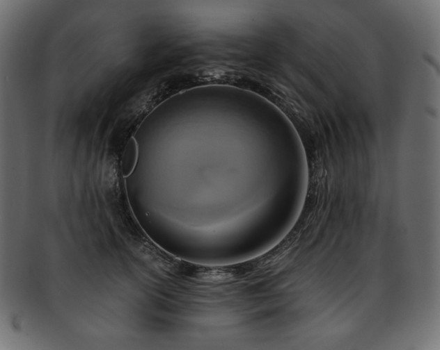 X0000093240754200710031602