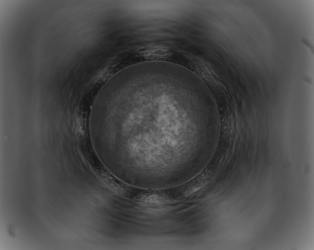 X0000093240755200710031602
