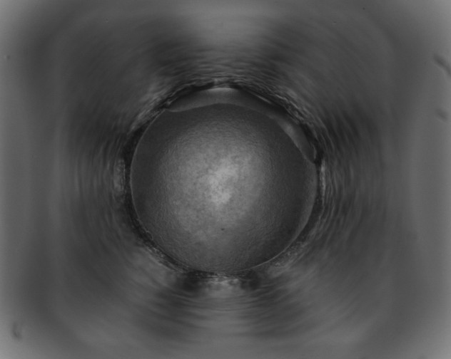 X0000093240760200710031602