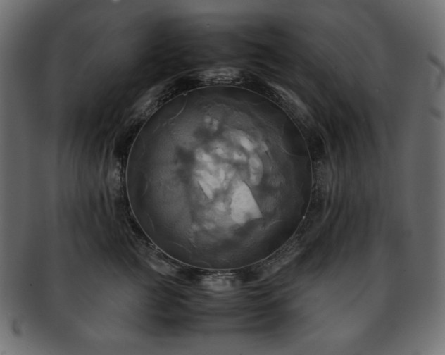 X0000093240761200710031602