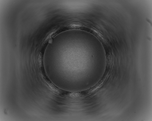 X0000093240762200710031602