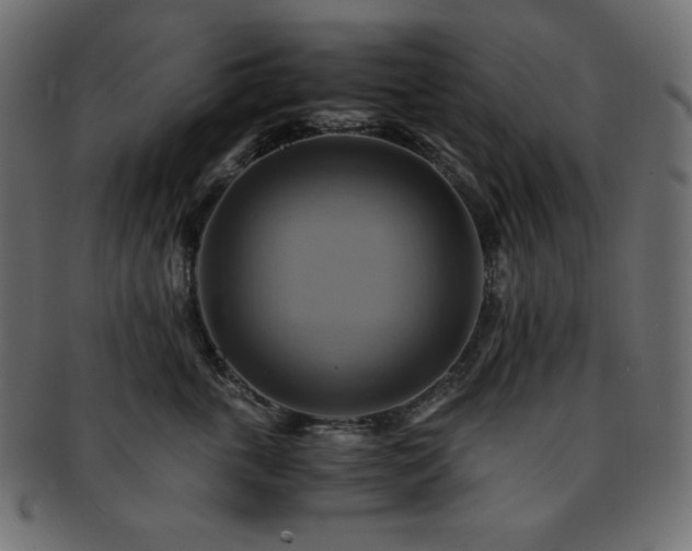 X0000093240763200710031602