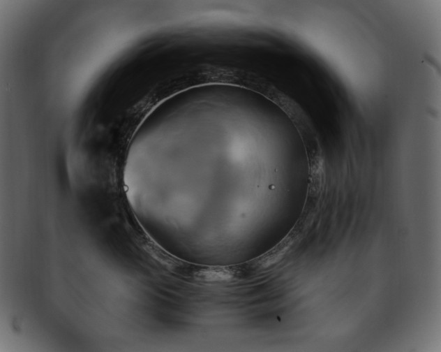 X0000093240765200710031602