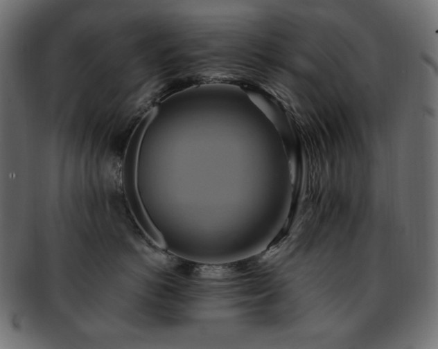 X0000093240766200710031602